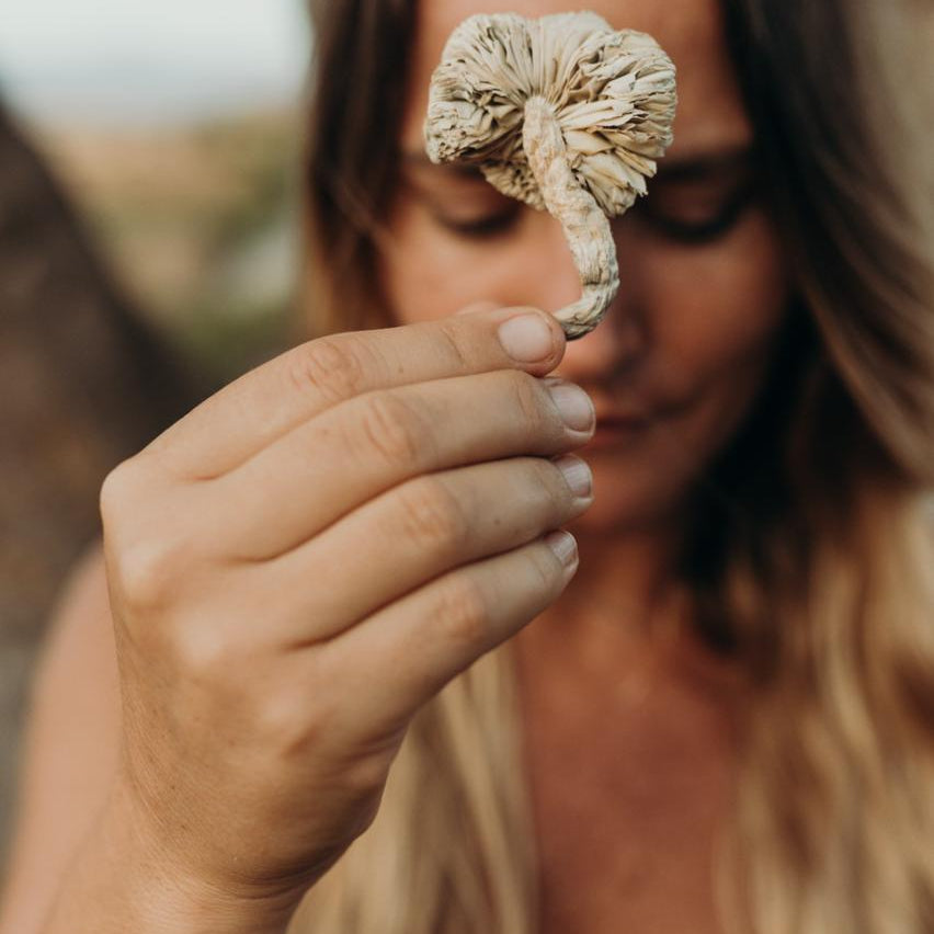 Mycelium Therapy 6 Months
