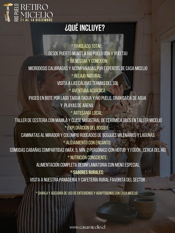 Micelio Puelo Retreat – Experience the essence of Patagonia in an unforgettable experience