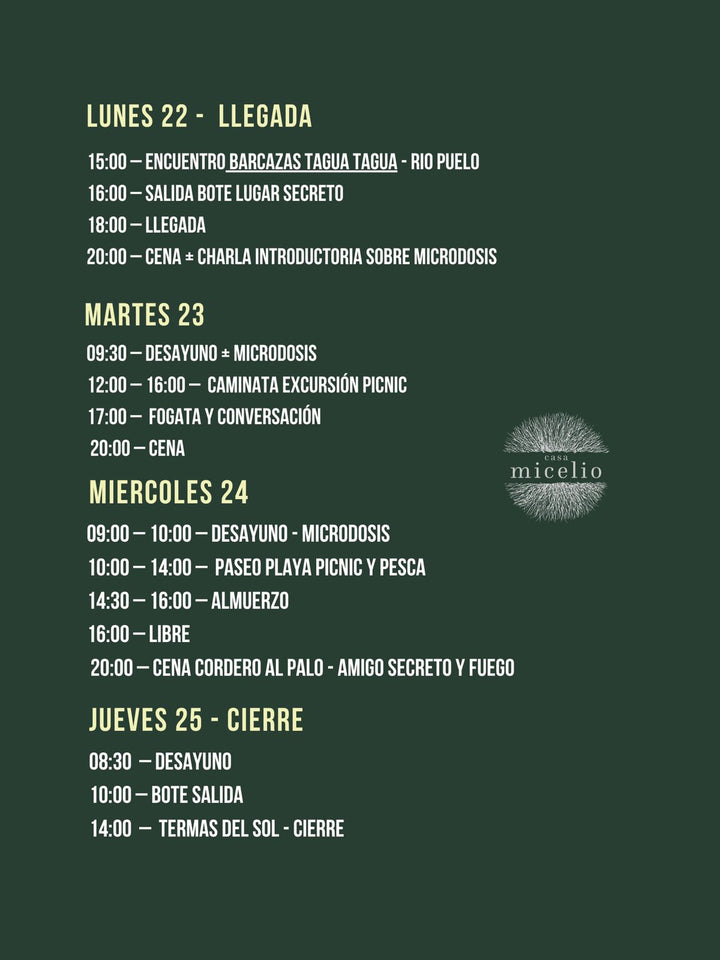 Micelio Puelo Retreat – Experience the essence of Patagonia in an unforgettable experience