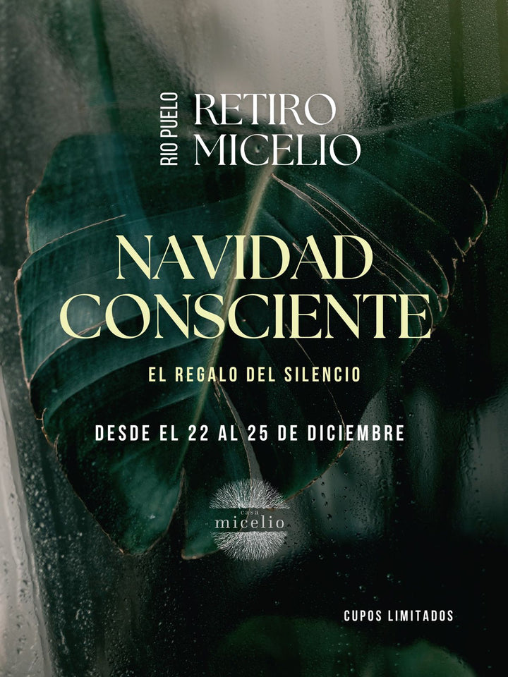 Micelio Puelo Retreat – Experience the essence of Patagonia in an unforgettable experience