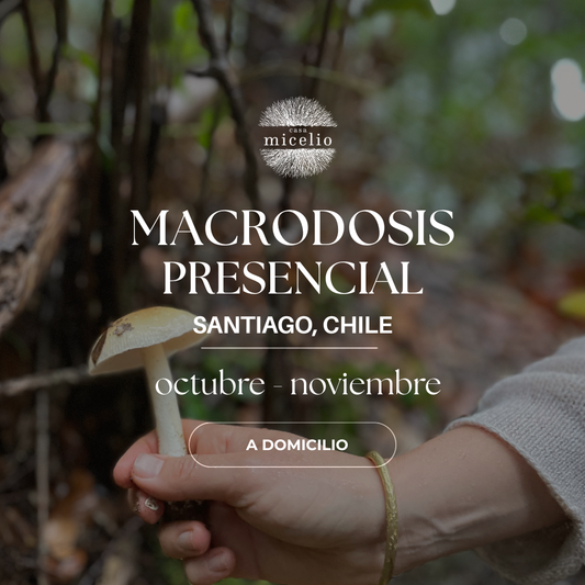 Plan Macrodosis Presencial Santiago