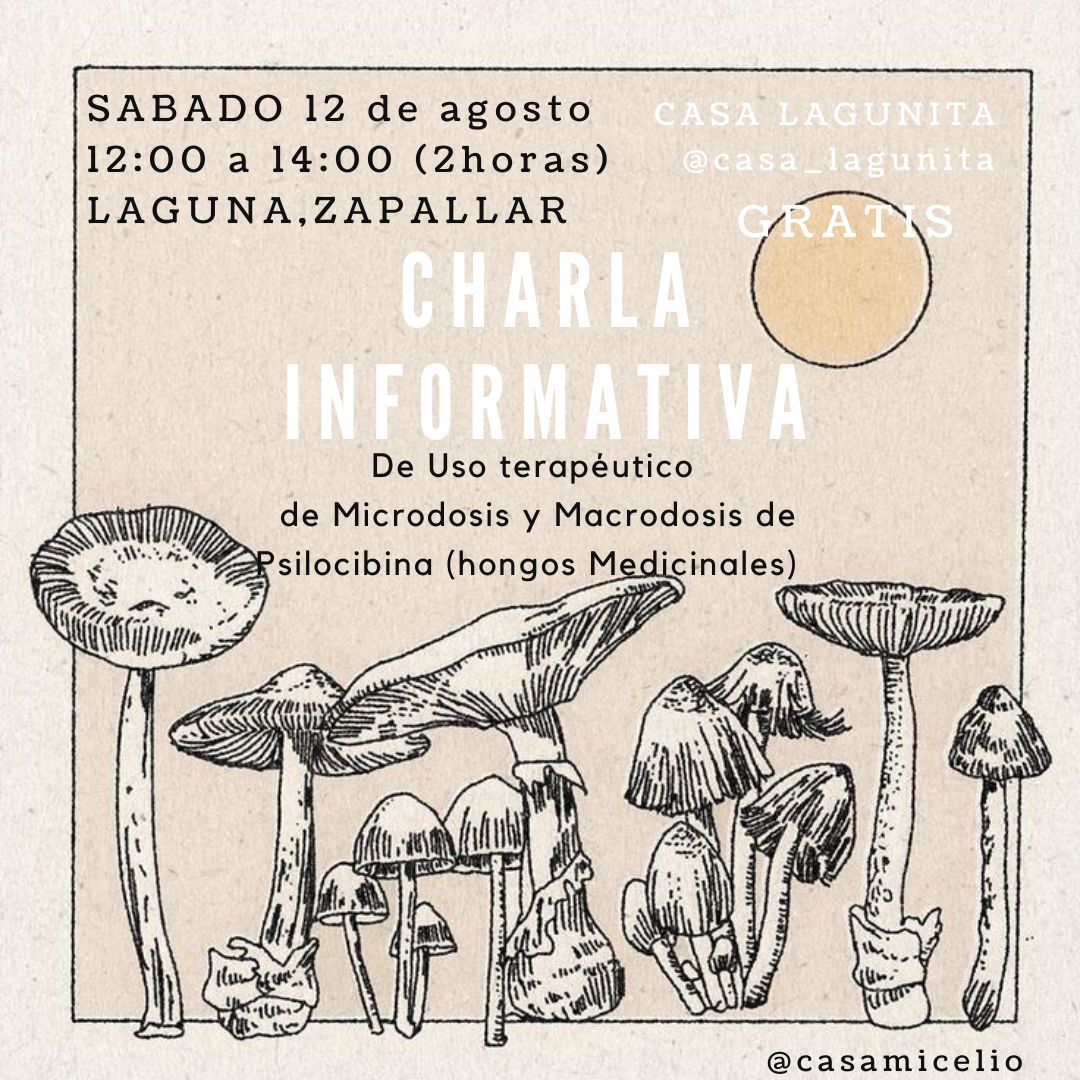 Invitación a charla gratuita sobre el uso terapéutico de psilocibina, sábado 12 de agosto en Laguna, Zapallar.