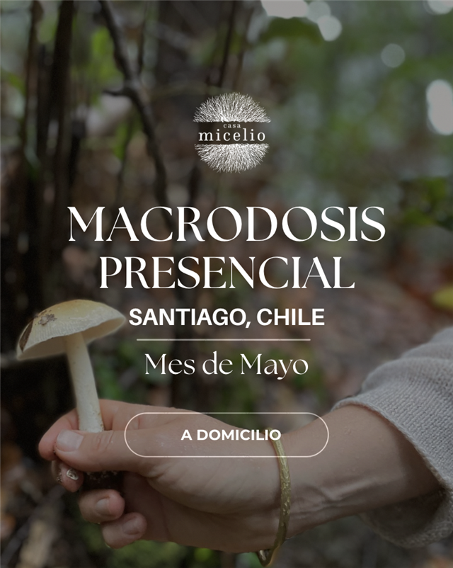 Plan Macrodosis Presencial Santiago