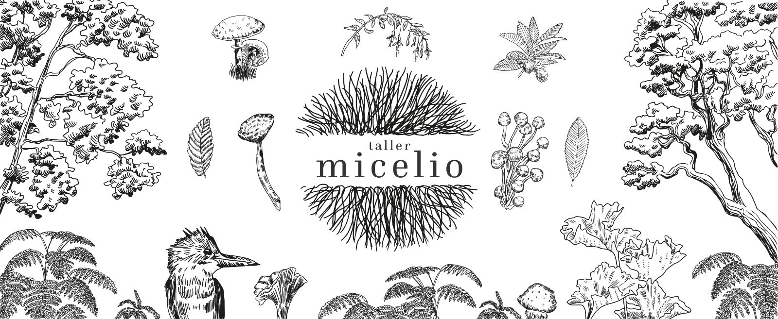 Ilustración en blanco y negro con árboles, hongos y hojas. Texto central "taller micelio" rodeado de un gráfico de micelio.