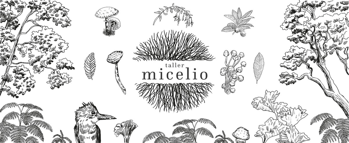 Ilustración en blanco y negro con árboles, hongos y hojas. Texto central "taller micelio" rodeado de un gráfico de micelio.