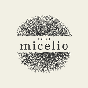 Logotipo de Micelio con diseño moderno y colores corporativos trazado.